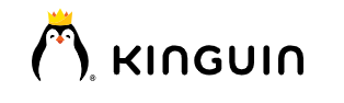 Kinguin DE