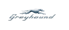 Greyhound