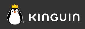 Kinguin IT